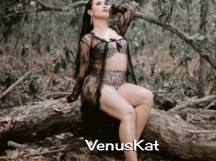 VenusKat