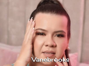Vanebrooks