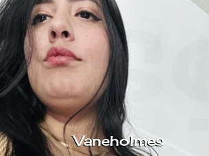Vaneholmes
