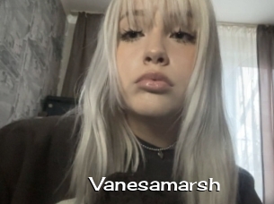 Vanesamarsh
