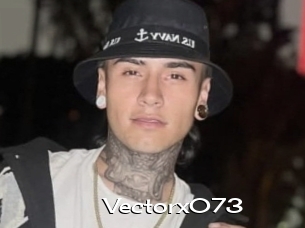 Vectorx073