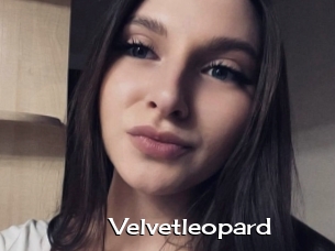 Velvetleopard