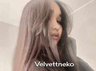 Velvettneko