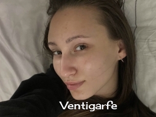 Ventigarfe