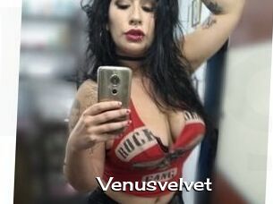 Venusvelvet