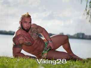 Viking28
