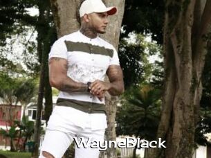 WayneBlack