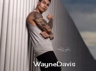 WayneDavis