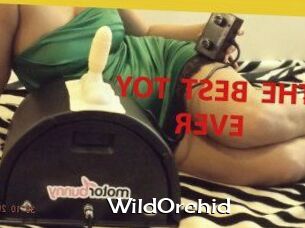 WildOrchid_