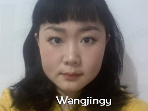 Wangjingy