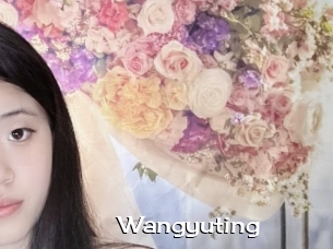 Wangyuting
