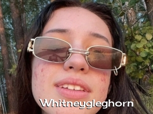 Whitneygleghorn