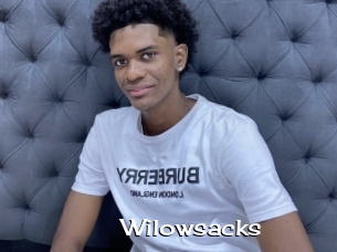 Wilowsacks
