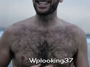 Wplooking37