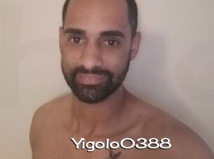 Yigolo0388
