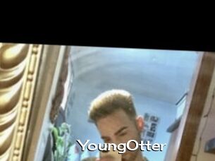 YoungOtter