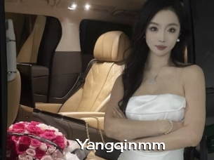Yangqinmm