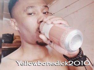 Yellowbonedick2010