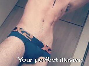 Your_perfect_illusion
