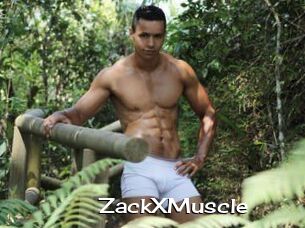 ZackXMuscle
