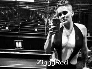 ZiggyRed