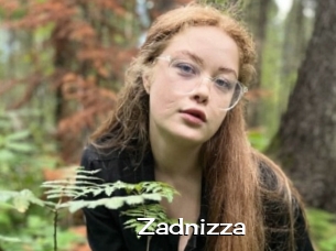 Zadnizza