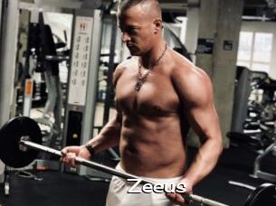 Zeeus