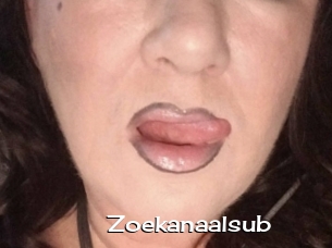 Zoekanaalsub